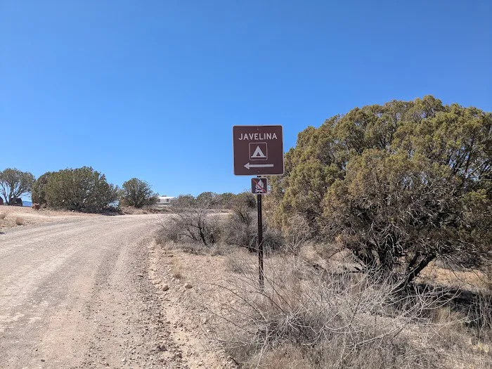 Javelina Campsite 8