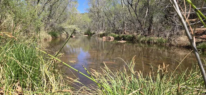 Javelina Campsite 7
