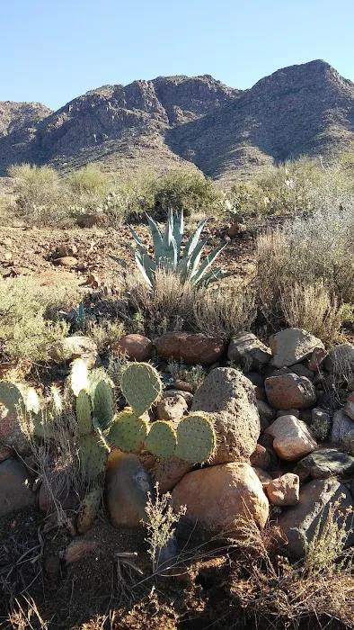 Lost Duchman’s Mining Association Campground 8