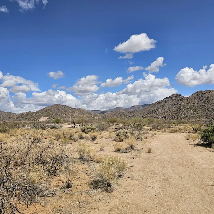 Constellation Park Campground 2