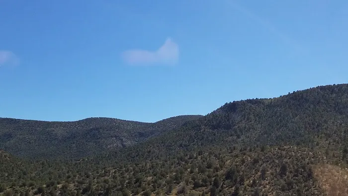 Usda Forest Services 1