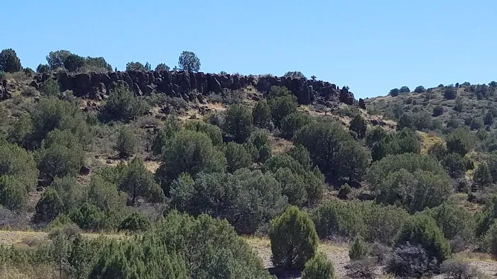 Usda Forest Services 0
