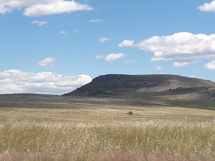 Usda Forest Services 9