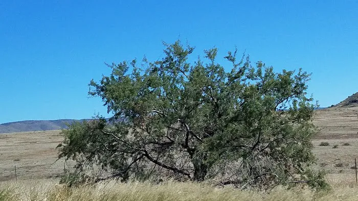 Usda Forest Services 5