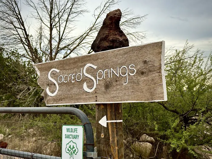 Sacred Springs Hipcamp 4