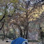 Manzanita Campground