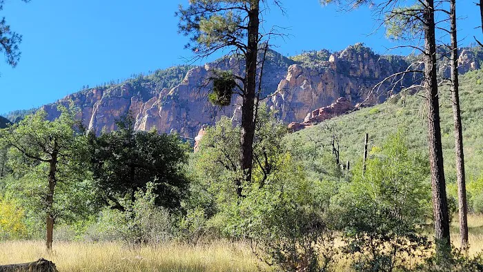 Manzanita Campground 4