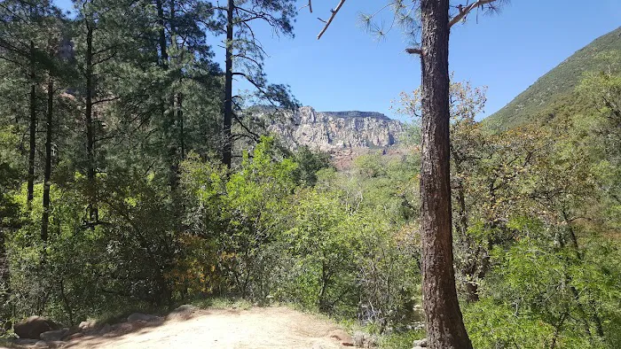 Manzanita Campground 7