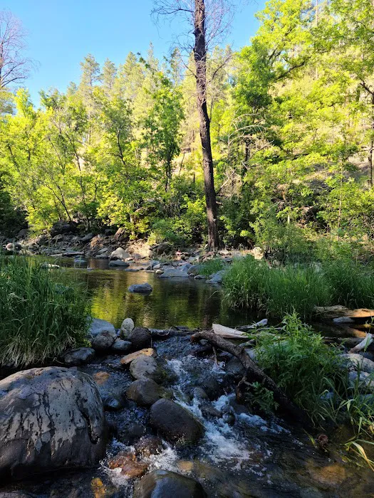 Manzanita Campground 8