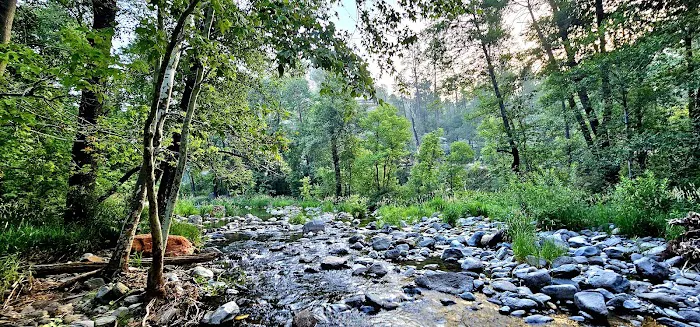 Cave Springs Campground 2