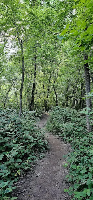 Cave Springs Campground 3