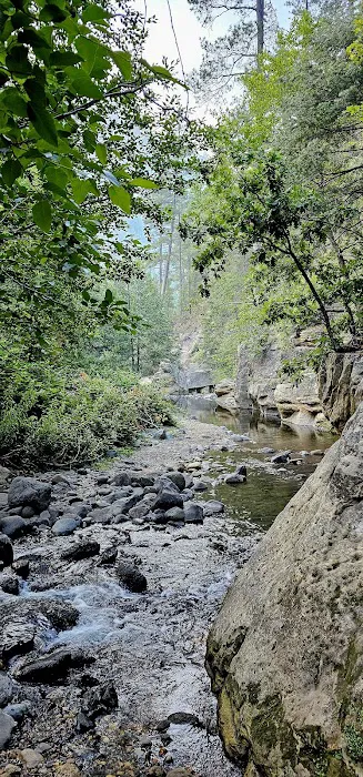 Cave Springs Campground 6