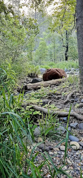 Cave Springs Campground 7