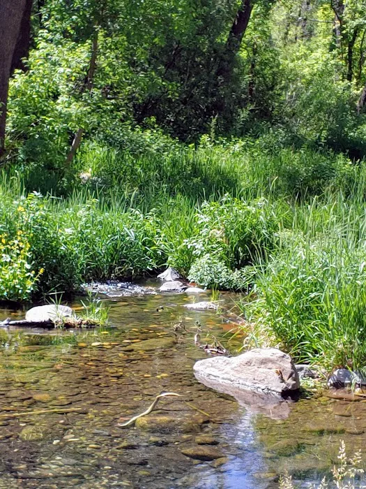 Cave Springs Campground 3