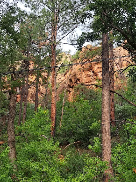 Cave Springs Campground 7