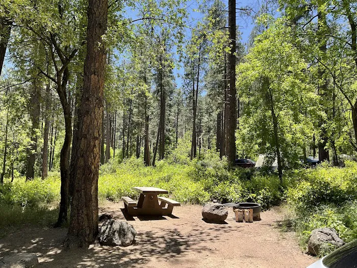 Cave Springs Campground 9