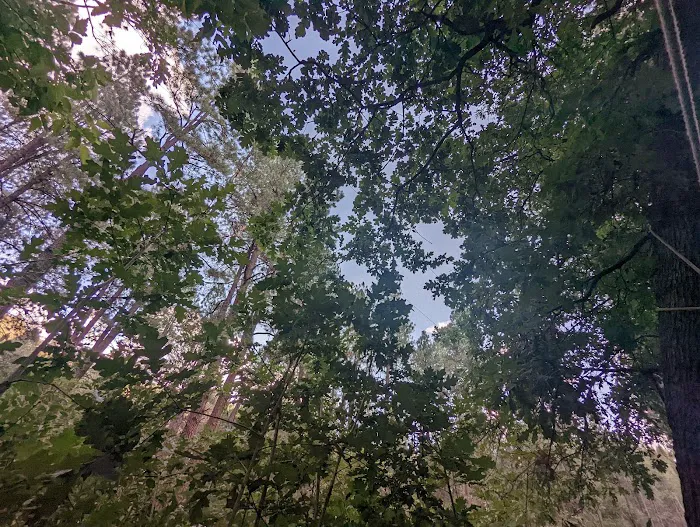 Cave Springs Campground 8
