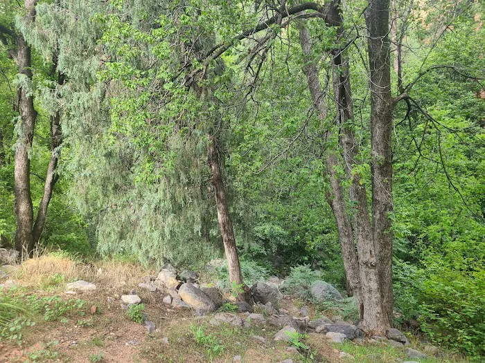Pine Flat Campground 2