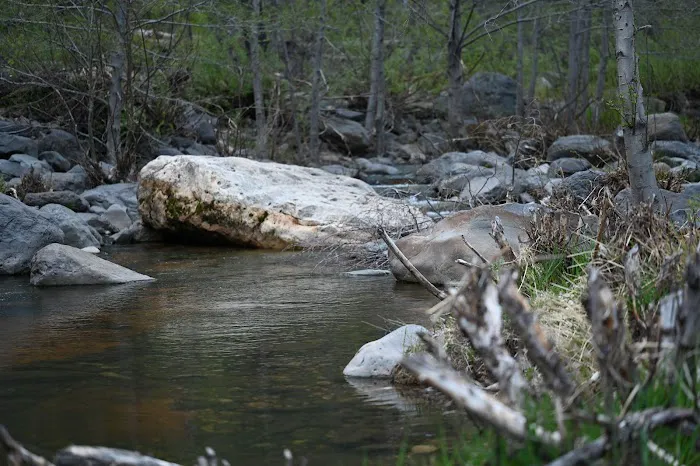 Pine Flat Campground 3