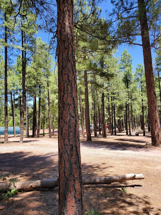 Fort Tuthill County Campground 9