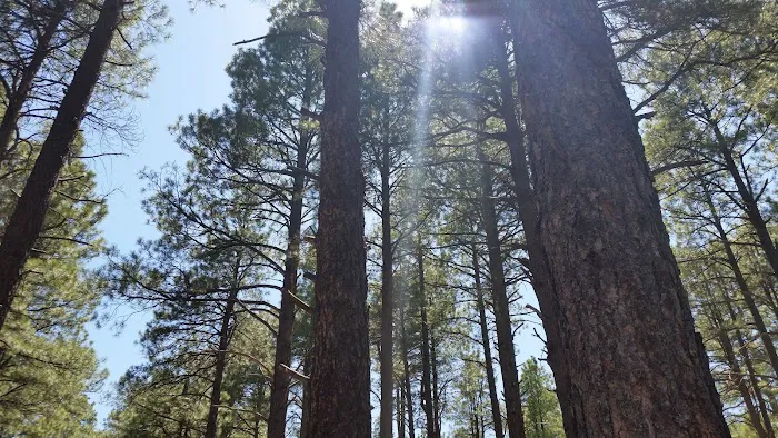 Fort Tuthill County Campground 5
