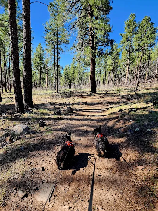 Fort Tuthill County Campground 2