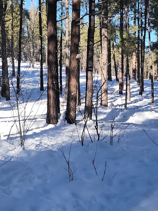 Fort Tuthill County Campground 3