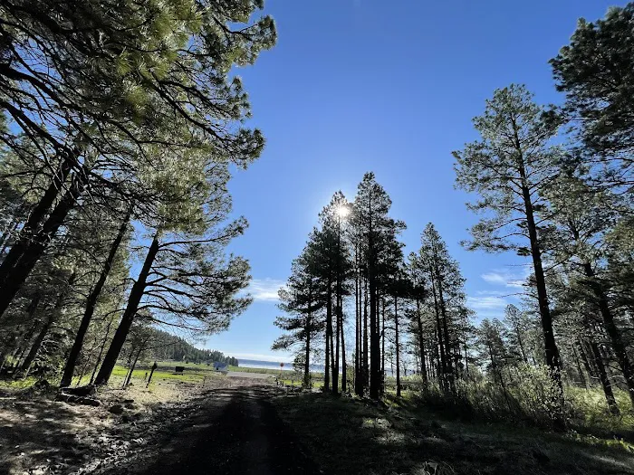 Double Springs Campground 1
