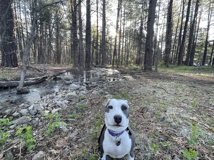 Double Springs Campground 2