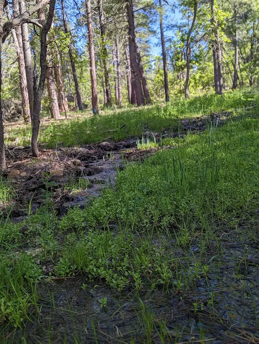 Double Springs Campground 8