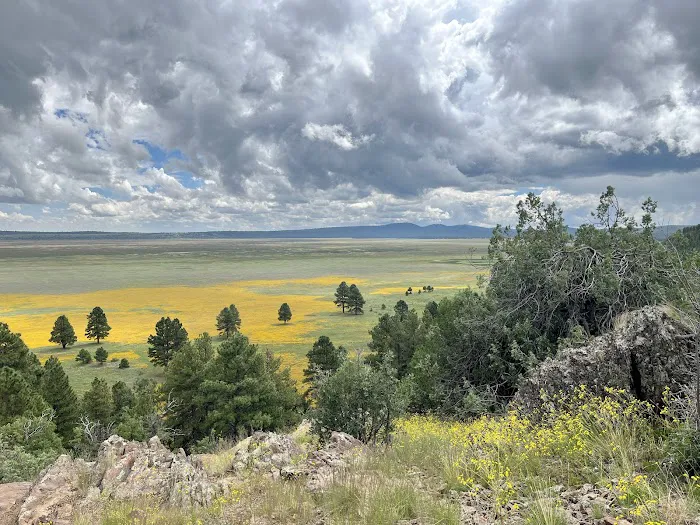 Dairy Springs Campground 2