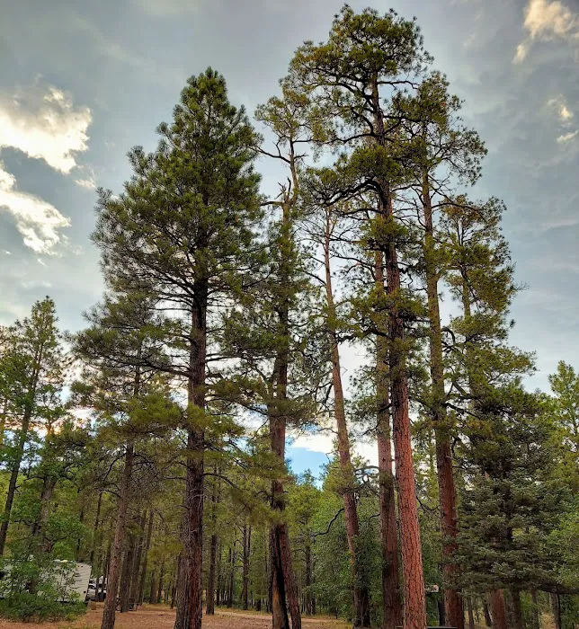 Dairy Springs Campground 6