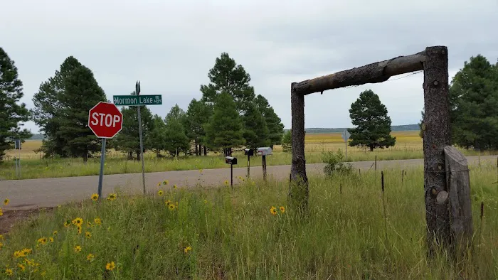 Dairy Springs Campground 4