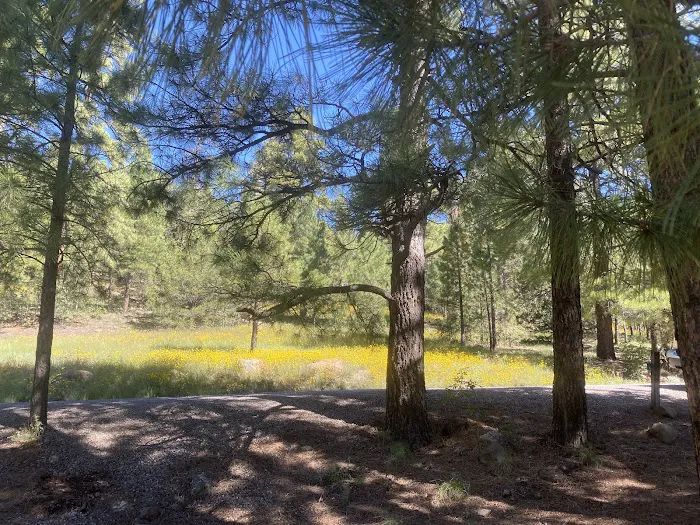 Lake View Campground 4