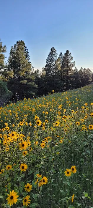 Lake View Campground 8