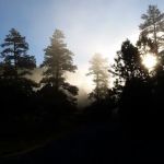 Lake View Campground