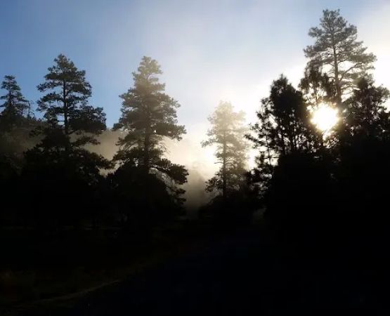 Lake View Campground