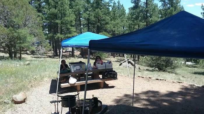 Lake View Campground 5