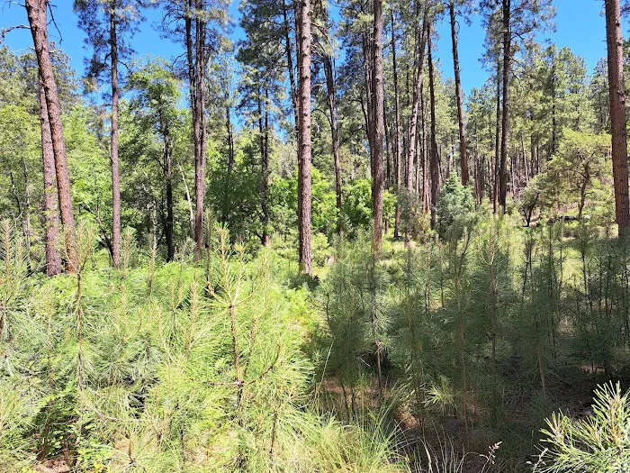 LoMia Recreation Camp 1