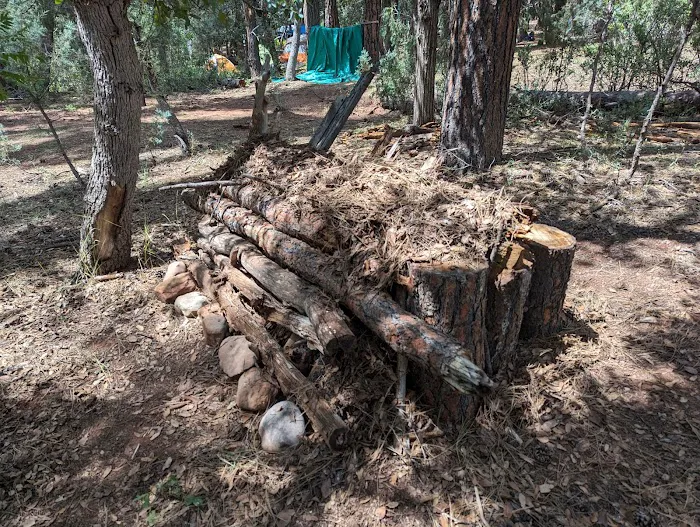 Camp Site 19 1