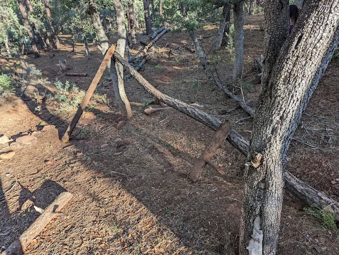 Camp Site 19 5