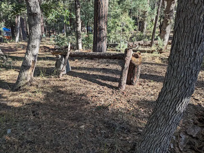 Camp Site 19 3