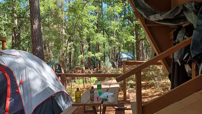 Camp Site 19 2