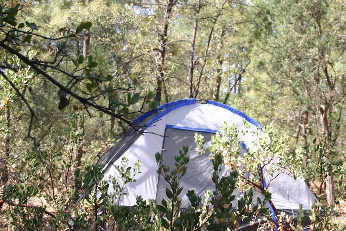 Houston Mesa Campground 0