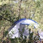 Houston Mesa Campground