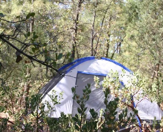 Houston Mesa Campground
