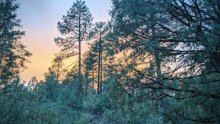 Houston Mesa Campground 5