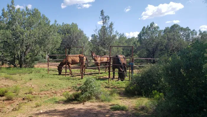 Houston Mesa Campground 2