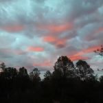 Houston Mesa Horse Campground