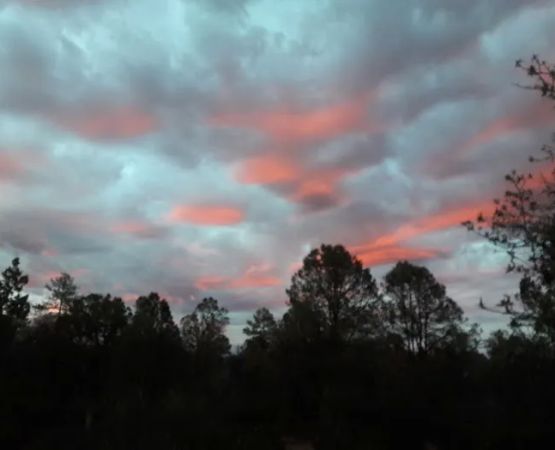 Houston Mesa Horse Campground